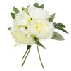 Buchet bujori