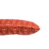 PILULA ADIYA 50X30 AMBRE