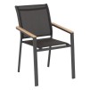 ESSENTIA WOOD ARM ANTH/GRAF