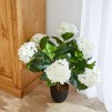 Floare decorativa