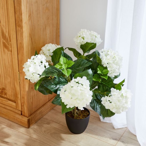 Floare decorativa