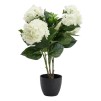 Floare decorativa