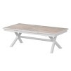 AXIOME EX TABLE ECP 12S SEPIA