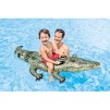 RIDE ON GATOR REALIST