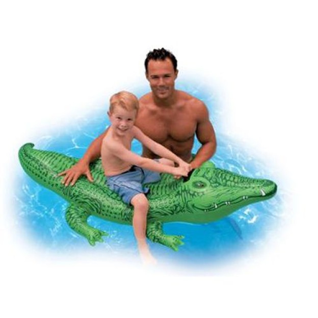 MICI CROCODIL PĂLĂRIȘTE