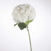 Compozitie florala HORTENSIA SERATA H83