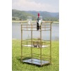 CARUCIOR PENTRU SERVIRE GLAM RET. CM 60X30,5X80