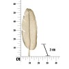 PLATOU DECORATIV LEAF GLAM -B-CM 18X2X55