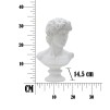 SCULPTURA ROMAN CM 21,5X14,5X34