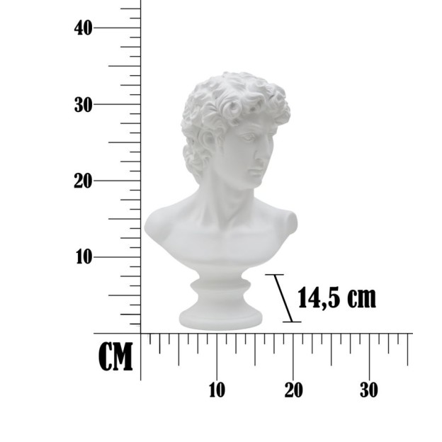 SCULPTURA ROMAN CM 21,5X14,5X34