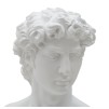 SCULPTURA ROMAN CM 21,5X14,5X34