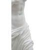 SCULPTURA STATUETA FEMEIE CM 14X12X49
