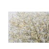 PICTURA BRAD SIMPLU -A- CM 80X3,8X120