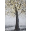 PICTURA BRAD SIMPLU -A- CM 80X3,8X120