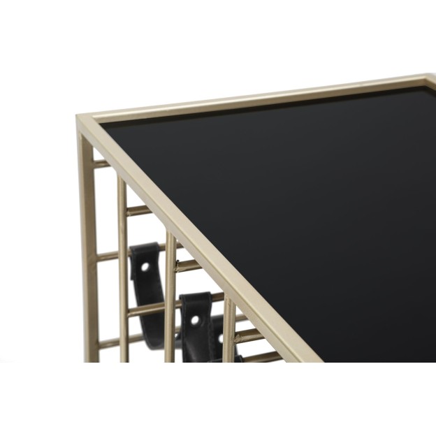 CARUCIOR CU SPATIU DE DEPOZITARE STICLE 79X39,5X82