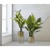 SET 2 SUPORTI PENTRU GHIVECE GOLLY 21X40-19X22