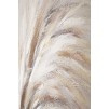 PICTURA KIUKKU -A- CM 60X2,8X120