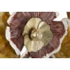 PANOU DE PERETE FIER CLOW CM 92,1X8,3X51,4