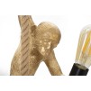 PLAFONIERA MONKEY GOLD CM Ø 27X32X60