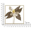 PANOU DE PERETE FIER BROWY CM 50,2X5,1X50,2