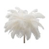 LAMPA ALB PALM CM Ø 55X160