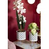 SET CARLY SUPORT GHIVECI 2 BUC CM Ø 16X20-13X20
