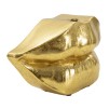 VAZA BUZA GURA CM 23X8X12