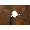 LAMPA LEMN DE TEC DA TAVOLO KEPALA 35X69