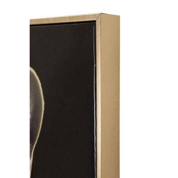 TABLOU DE PERETE CU CADRU BULLY C/CORNICE CM 62X4X82