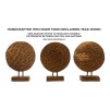 SCULPTURA MONEDA DIN LEMN DE TEC 30X1,5X40