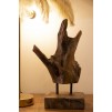 FIGURINA SCULPTURA AKAR DIN LEMN DE TEC 20X11X34