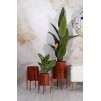 SET 3 SUPORTI GHIVECE  ARCHY 36X56,5-30X48,5-24X37,5
