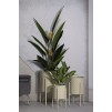 SET 3 SUPORTI GHIVECE HGOLDER BETSY 36X56,5-30X48,5-24X37,5