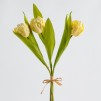 Floare decorativa tulipios