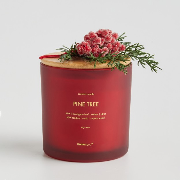 Lumanare parfumata WINTEROS