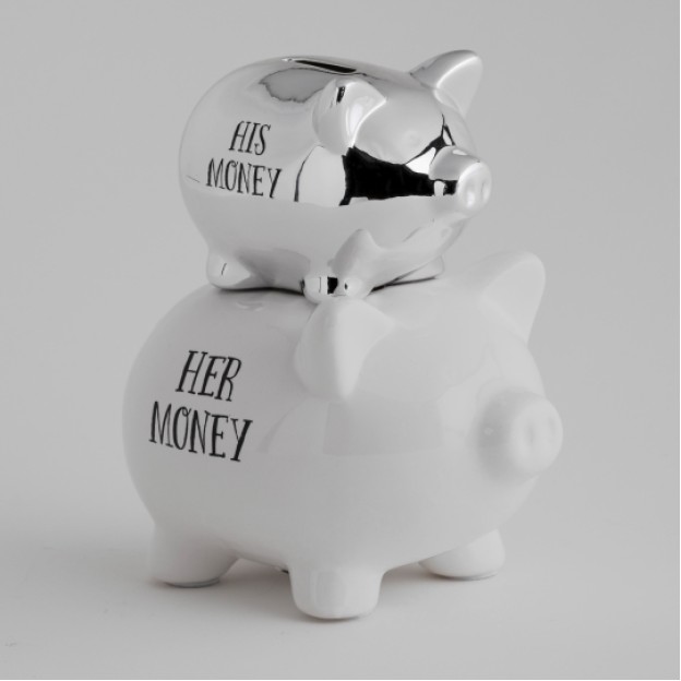 Pusculita-porcusor Their Money