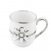 Cana DIAMONDI FLOWER
