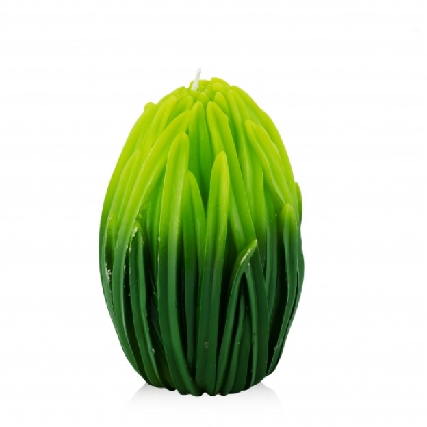 Lumânare-ou GRASSEGG