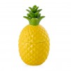 Container PINIA