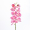 Floare decorativa ORCHIDI