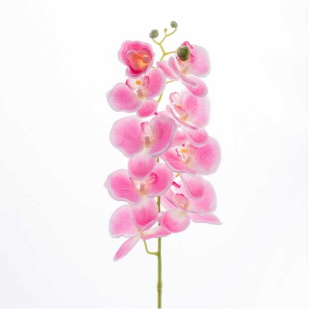 Floare decorativa ORCHIDI
