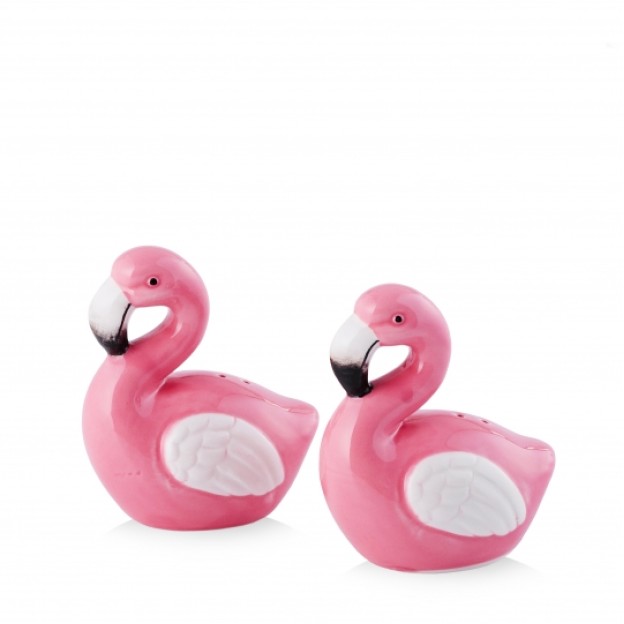 Set recipient sare si piper FLAMI