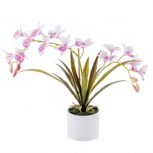 Ghiveci de flori SANDRA SMALL