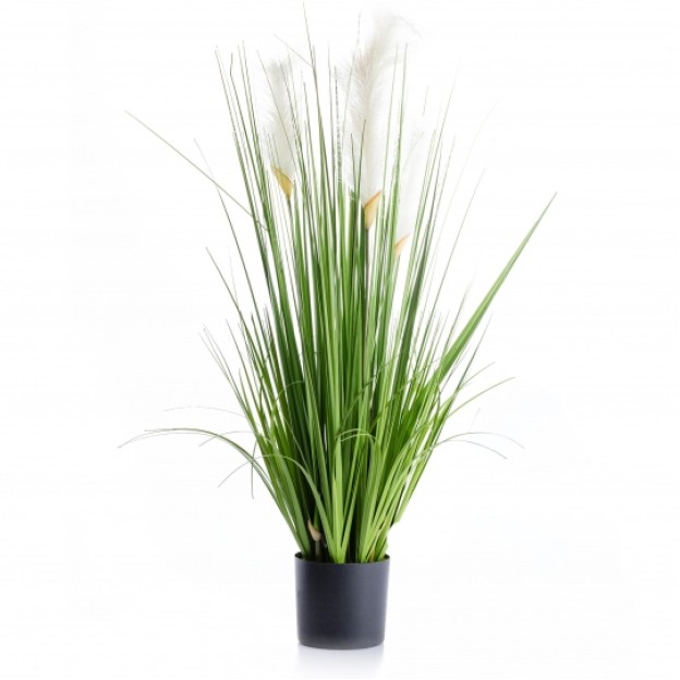 Compozitie de flori MISCANT