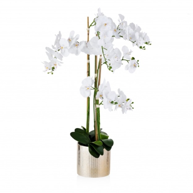 compozitie florala ORCHIDINA