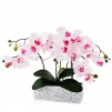 compozitie florala ORCHIANUM SMASH