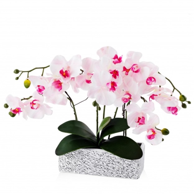 compozitie florala ORCHIANUM SMASH