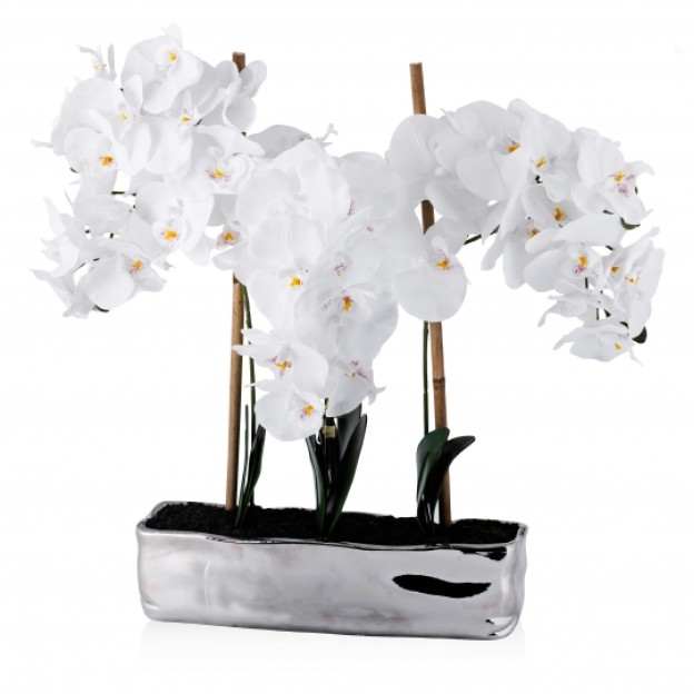 Compozitie florala orchianum big