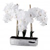 Compozitie florala orchianum diam