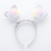 Accesoriu par CATIS